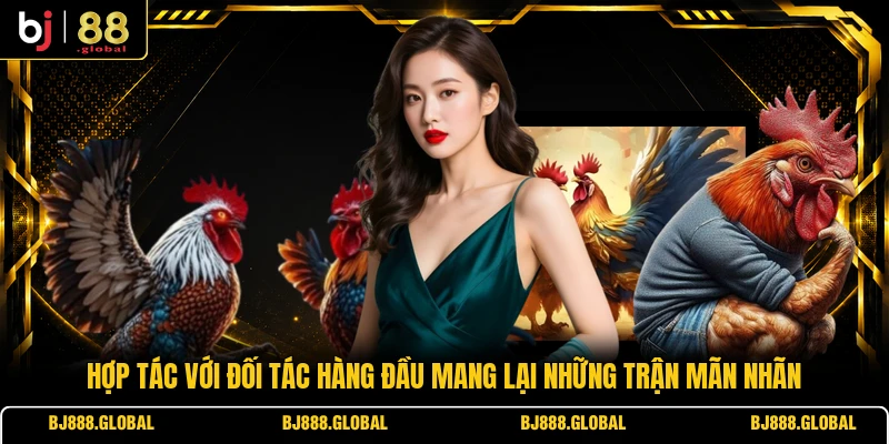 Hợp tác với đối tác hàng đầu mang lại những trận mãn nhãn