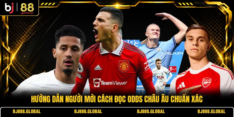 Hướng dẫn người mới cách đọc odds châu Âu chuẩn xác