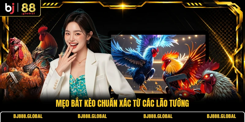 Mẹo bắt kèo chuẩn xác từ các lão tướng