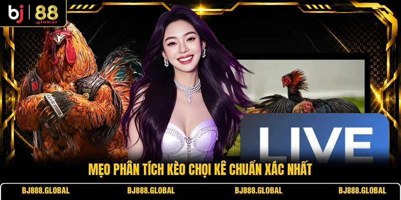 Mẹo phân tích kèo chọi kê chuẩn xác nhất