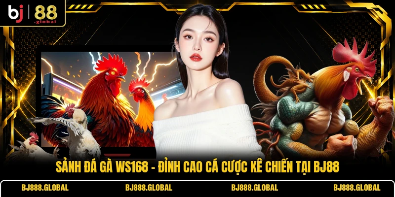 Đá Gà WS168