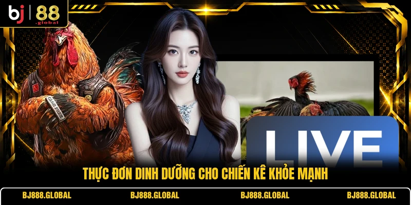 Thực đơn dinh dưỡng cho chiến kê khỏe mạnh