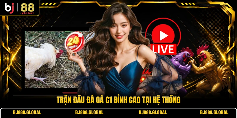 Trận đấu đá gà C1 đỉnh cao tại hệ thống