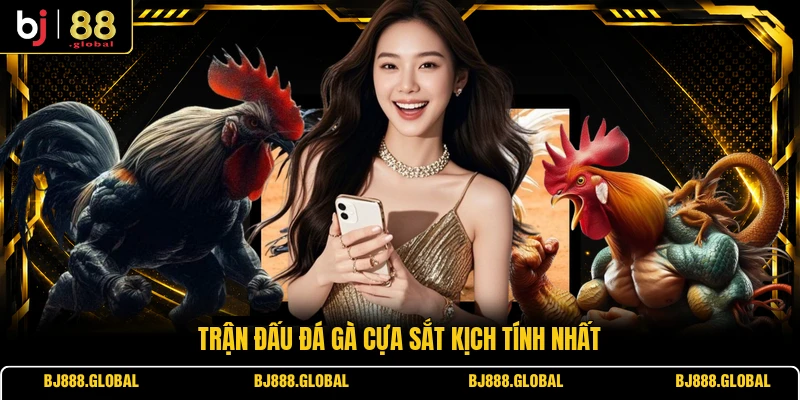 Trận đấu đá gà cựa sắt kịch tính nhất